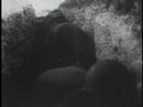 Atom Bomb Tests (1946 Nuclear)
