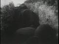 Atom Bomb Tests (1946 Nuclear)