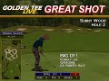 Golden Tee Great Shot on Sunny Wood! Golden Tee Great Shot on Sunny Wood!