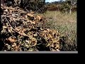 Marsh River Paintball Crew [Episode 2]