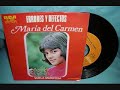 Maria del Carmen: Errores y Defectos (No video)