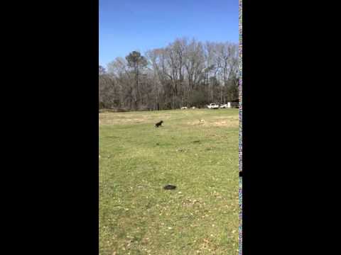 Mother playing catch