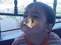 cnmn-i-i-arda-.html
