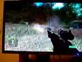 Crysis gameplay 1680x1050 SLI