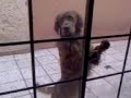 Desapareciendo a Kripto Desapareciendo a Kripto