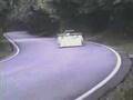 Chasse Aux Chevreuils
