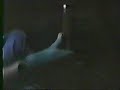 Disrupt - Italy 10/24/93
