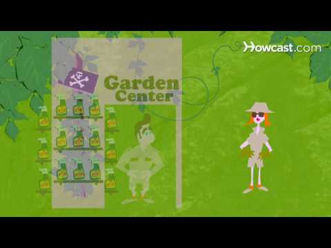 how to get rid of poison ivy on your skin