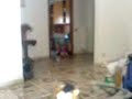 stupendo incidente
