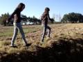 videos de WEEK-END INOUBLABLE ENTRE BOB L'EPONGE ( LL )