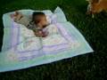 Chillin on the lawn