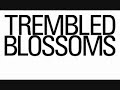 PRADA - Trembled Blossoms