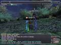Bhaflau Thickets
