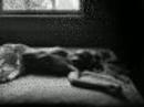 poema-pablo-neruda.html