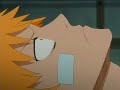 Yoruichi and Ichigo