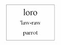 Learn Spanish - Animal Vocabulary (English version)