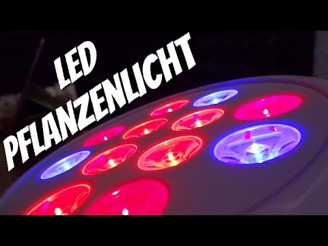 Für die kleinen grünen Freunde - LED Pflanzenlicht von 1byone im Review Test