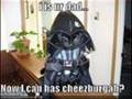 videos de funny stuff!