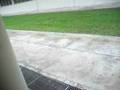 videos de MVI_5181.AVI