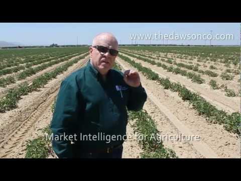 how to isolate pseudomonas from soil