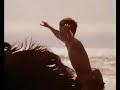 the black stallion   nightwish   last of the wilds