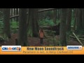 Search Video