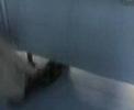Mobile video