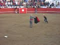 Jerry Springer and his Dancing with the Stars Co-Star go to a Portuguese Bullfight in Thornton, CA the weekend of October 14, 2006. Jerry and Co-Star play in the arena as Bull Fighter and Bull!