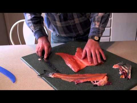 how to properly net a salmon