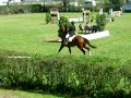 Springreiten (bozen/s�dtirol)