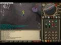 fire rebirth soloing a chaos elemental