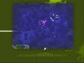 Spore GDC 2007: Tribal phase