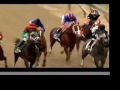 Curlin