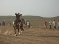 cavalier bir el ater tebessa ouled sidi abid
