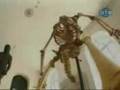 videos de pegadita de esqueleto