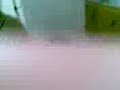 tania pela tomate