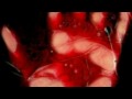 Mestruophagia split TUCO