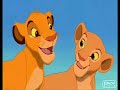 Cooking By The Book - The Lion King Cubs Cooking By The Book - The Lion King Cubs