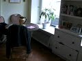 $2400 ONE BEDROOM (WEST VILLAGE)