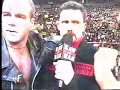 sting-and-hbk-tribute.html