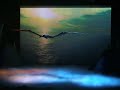 walking with dinosaurs-ornithocheirus pt.3 walking with dinosaurs-ornithocheirus pt.3