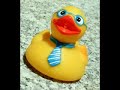 Rubber Duck Song!