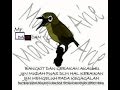 SUARA PLECI ZIPPER/Masteran suara Zipper /ARI ALIKA KICAUAN CHANEL