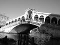 Venezia 2008 Venezia 2008