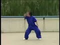Bajiquan Bajiquan