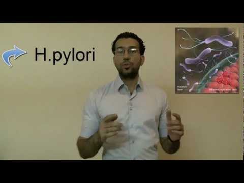 how to treat h pylori with food