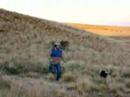 correr entre 2 dimenciones