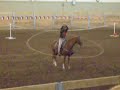 Trick roper at Western Fair