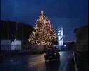 albero di natale Luigi Bacchi Iveco