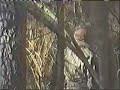 Falconry Hunt part 2 Falconry Hunt part 2